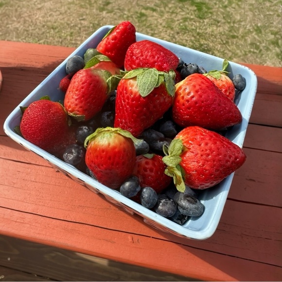 Other - NEW! Charming Farmhouse Style Floral Ceramic Berry Basket 6”HX3’W Set of…
